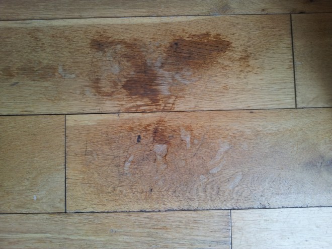 white water - Blog 15