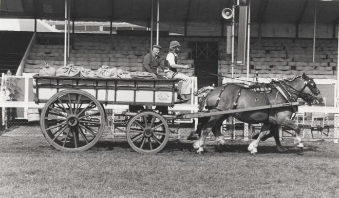 Alex and the old horseman, Norfolk Show 1976