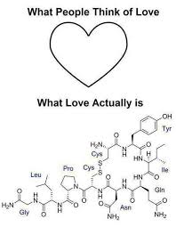 what love is